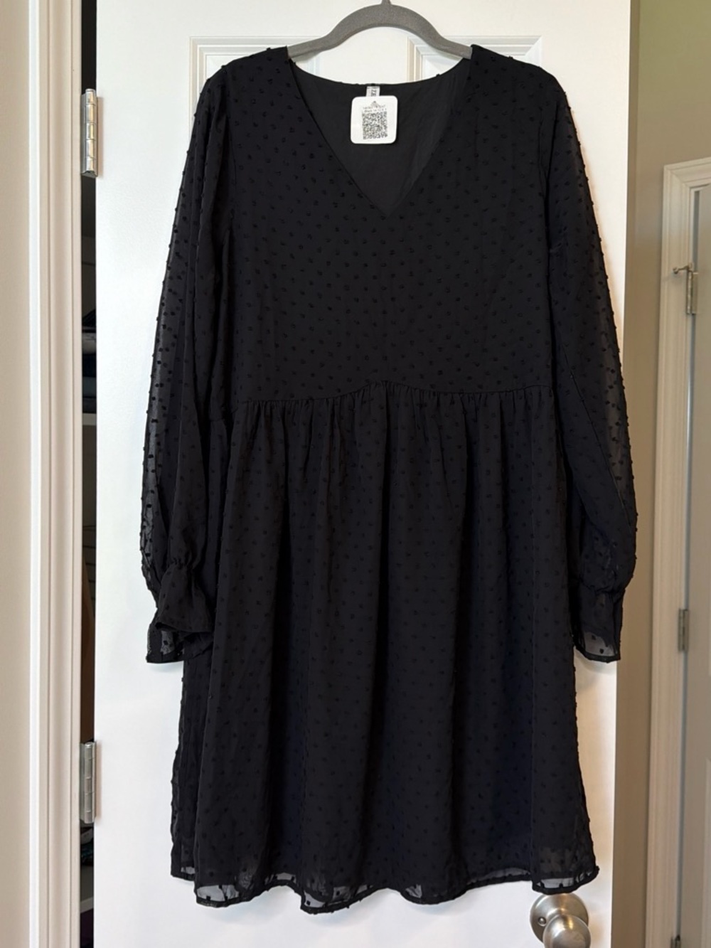 Zenana Outfitters Black Swiss Dot V-Neck Babydoll Dress with Sheer Long Sleeves
